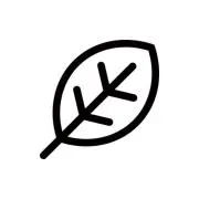 かい