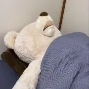 まゆの画像