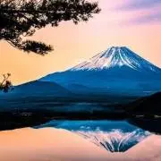 abcdいいえ富士の画像