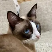 じゅんの画像