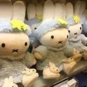 ぴ。の画像