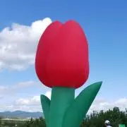 はるるの画像