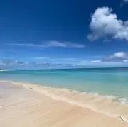 TTの画像