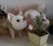糸まきまき