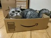 もこの画像