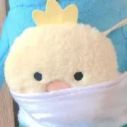 エリンギの画像
