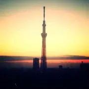 ✳︎たんぽぽーん✳︎