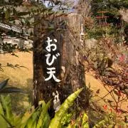 しばしばの画像