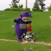 ぽんぽこさんの画像