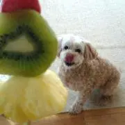 おとめ