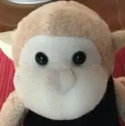568papaの画像