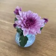 Image of にゃんディ♡おまとめ買い大歓迎