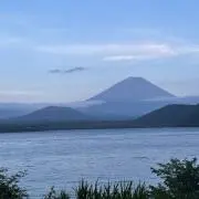 ヨキ