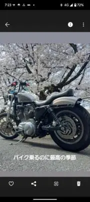 アオ