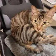 あぁる※プロフ必読の画像