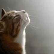 はないえ(°_°)の画像