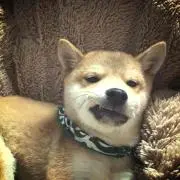 ねね