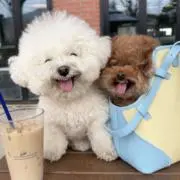 デブぷぷShop@プロフご確認ください。の画像