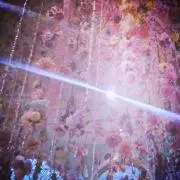 蛍☆の画像