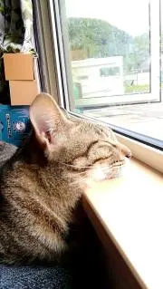 ひーさんの画像