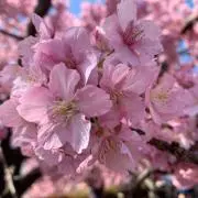 ☆らりか☆