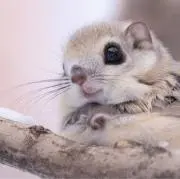 あいかの画像
