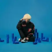 キイロの画像