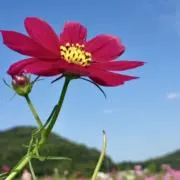 moneの画像