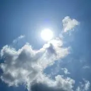 プーさんの画像