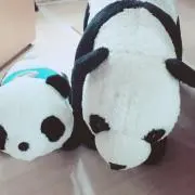 ぷぅちゃん