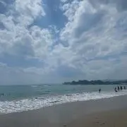 くーちゃんの画像