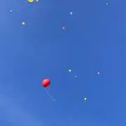 ホタ　ლ(❛◡❛✿)ლの画像