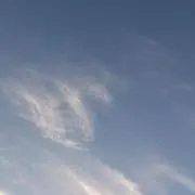 sの画像