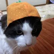 さち