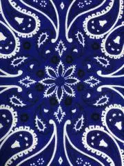 ご当地ヒーローめんこコレクション イバライガー トチノキッド