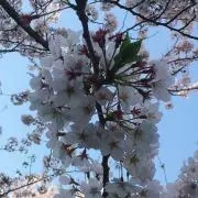 もずくの画像