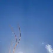 おマメの画像