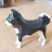 micoの画像
