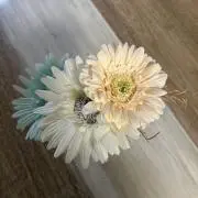 ＊Qoo＊の画像