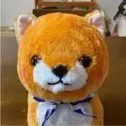 柴犬首相の画像