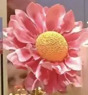 Floraの画像