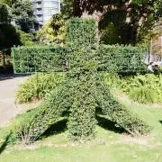 rioの画像