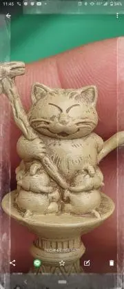 カリンの画像