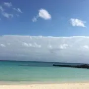 pur⭐︎の画像