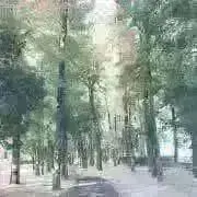 くまくまの画像