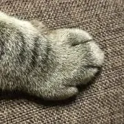 ちい　コメント必須！単品値下げ不可の画像