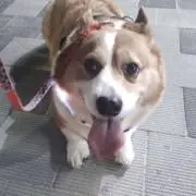 JACKSの画像