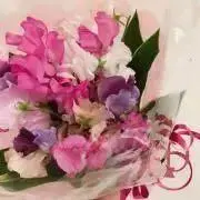 shimbaqの画像