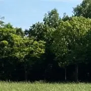 3400の画像