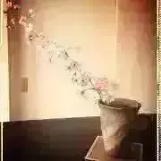 AKK☆nigaoe プロフ必読